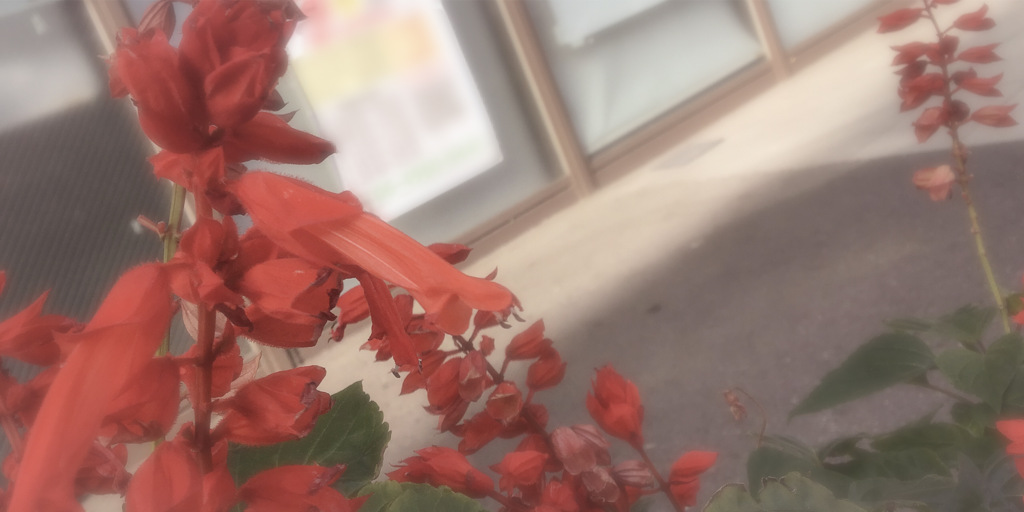 パステルセピアと花々の接写　Vol. 43