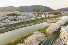 【 夢前川の桜並木と書写山 】