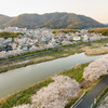【 夢前川の桜並木と書写山 】