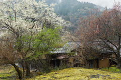 【 田舎の風景 】