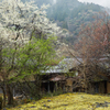 【 田舎の風景 】