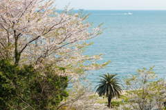 【 春の海へ 】