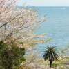 【 春の海へ 】