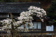 【 日本らしさ 】