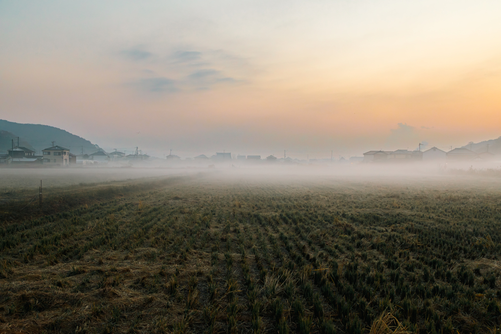 【 田舎の朝 】