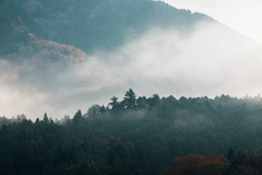 【 田舎の風景 】