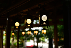 川越氷川神社
