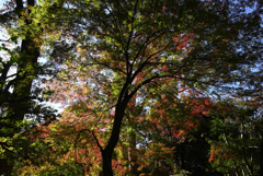 六義園入口付近