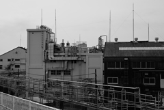 日本化薬