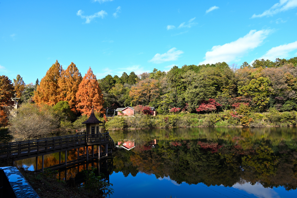 宮沢湖畔