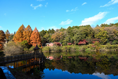 宮沢湖畔