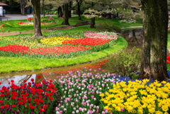 昭和記念公園