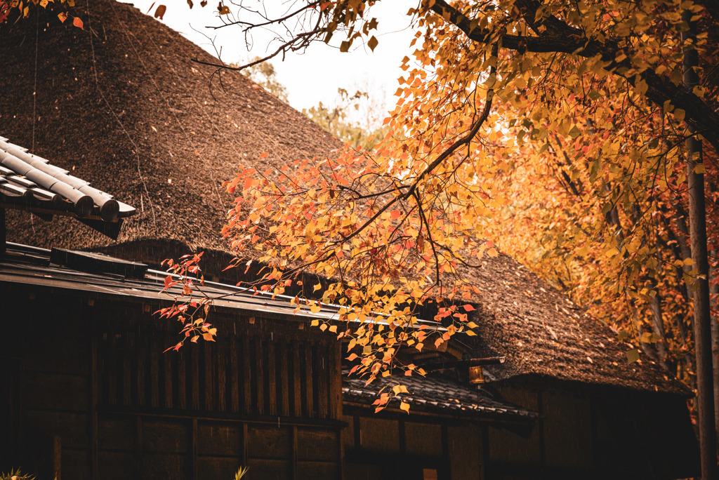 北区ふるさと農家体験館