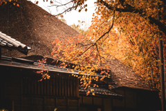 北区ふるさと農家体験館