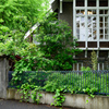 日比谷公園