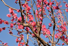 浮間公園