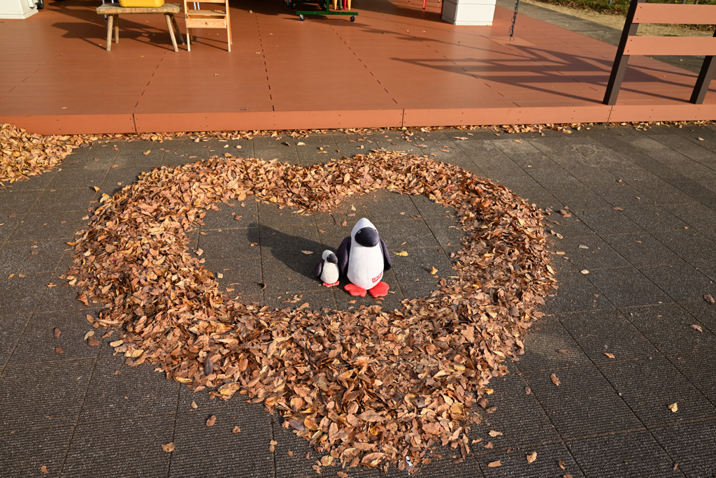 落ち葉
