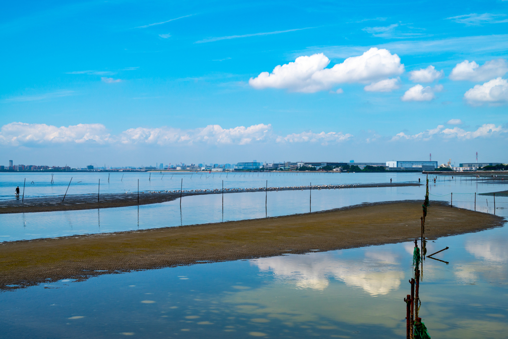三番瀬海浜公園