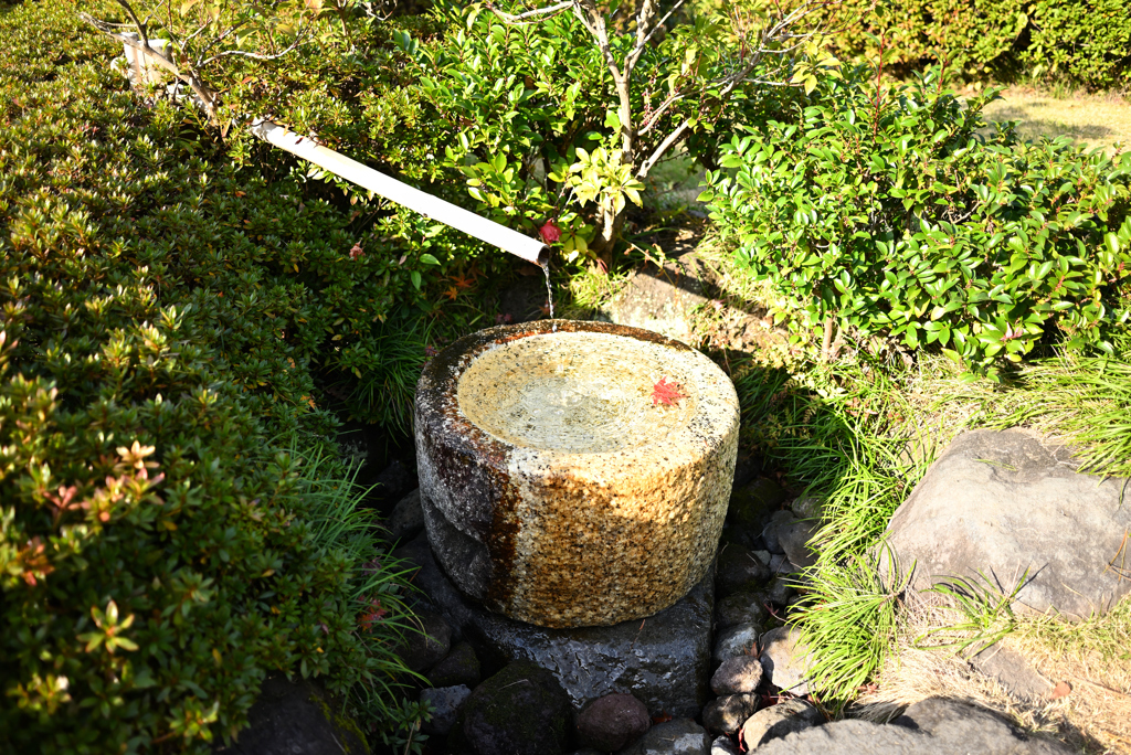 手水鉢