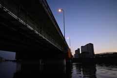 伯母が散歩で見ていた風景