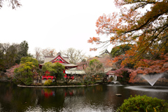 井之頭公園