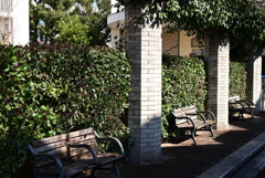 ベンチ
