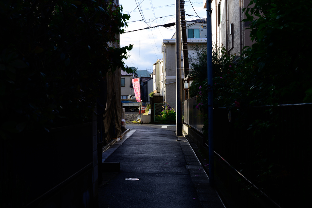 路地裏