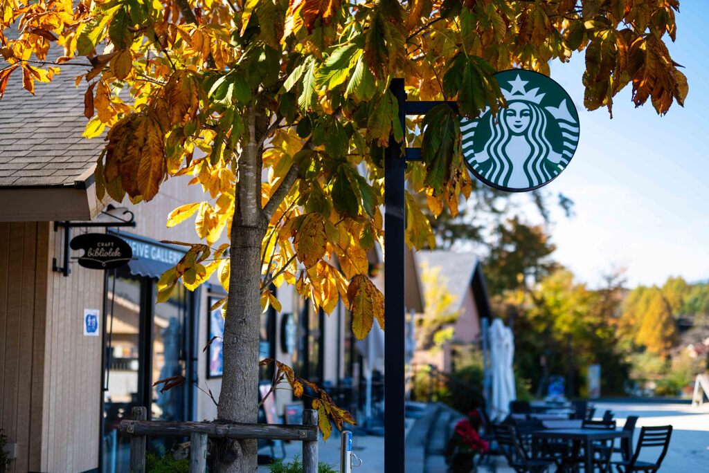 メッツァビレッジ