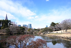 新宿御苑
