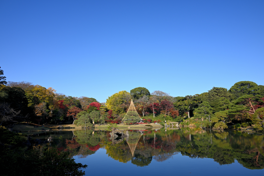 庭園