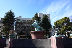 赤羽公園噴水