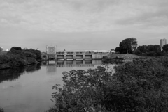 隅田川