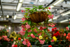 神代植物公園
