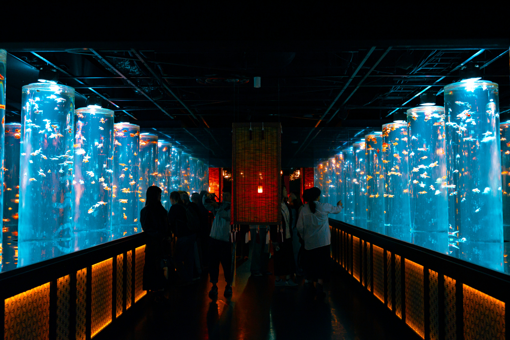 水族館