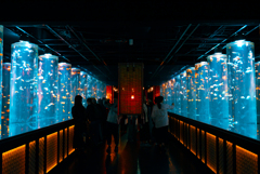 水族館