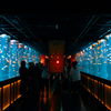 水族館