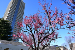 浮間公園
