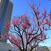 浮間公園