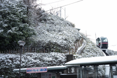 雪の飛鳥山