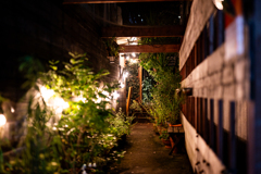 路地裏
