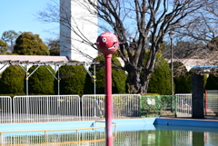 タコさん