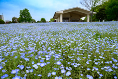 舎人公園