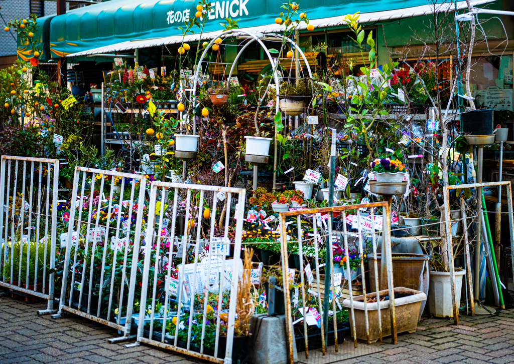 開店前 by マチ （ID：13387071） - 写真共有サイト:PHOTOHITO