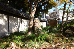 名主の滝公園