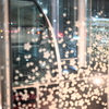 アスカルゴ