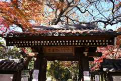 名主の滝公園正門