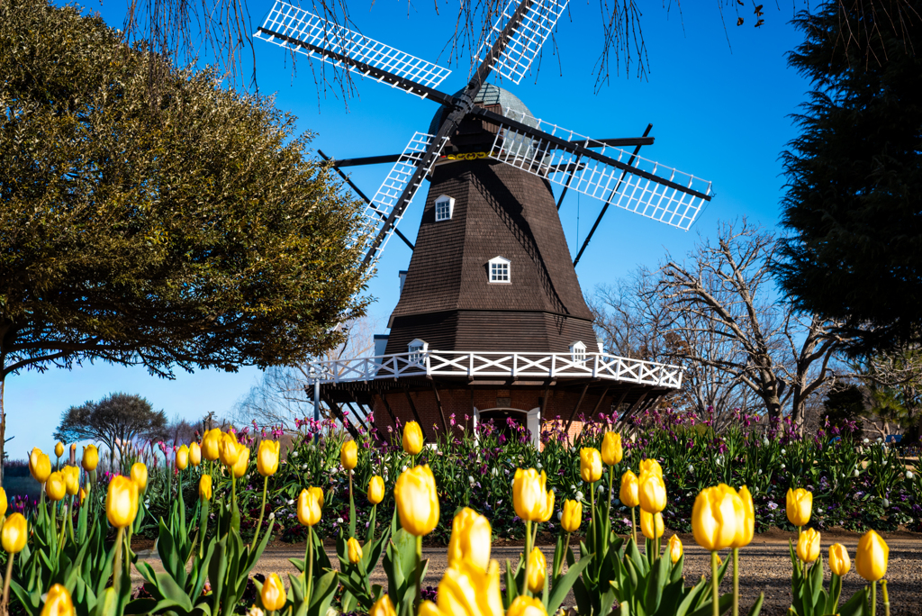 船橋アンデルセン公園