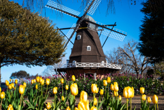 船橋アンデルセン公園