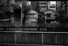 神田川