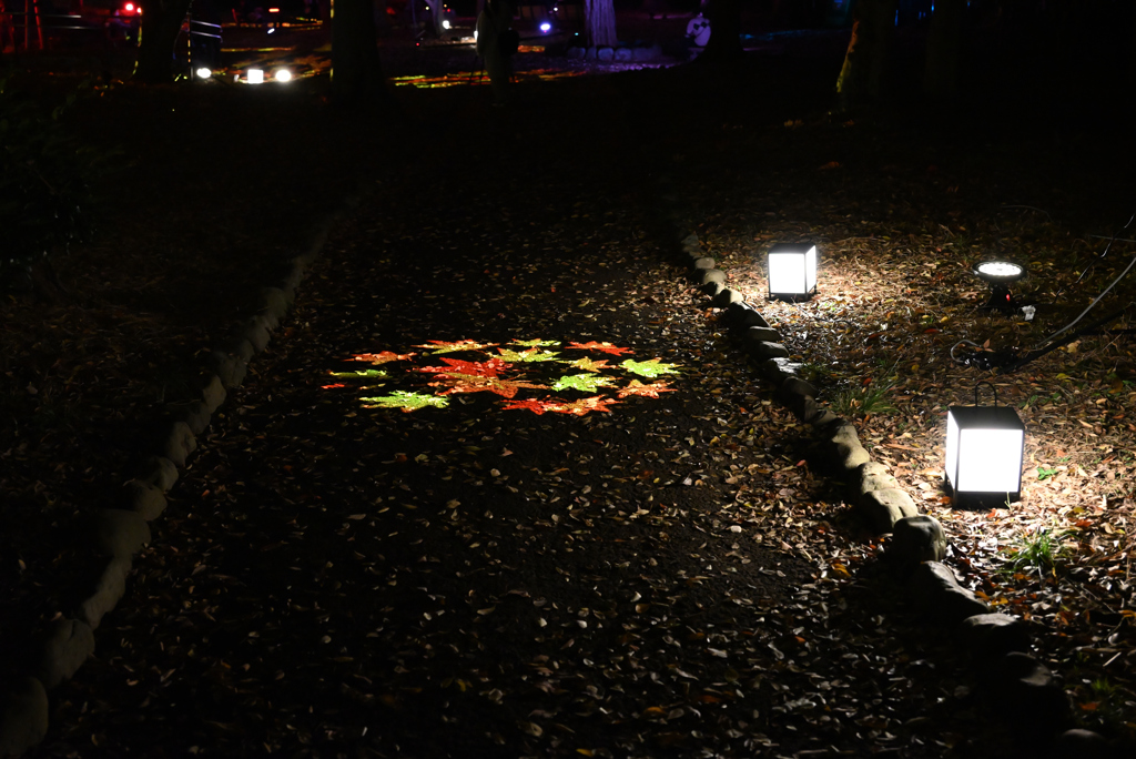 夜の飛鳥山公園